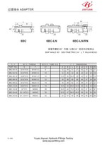 BSP metrisk bulkskottadapter