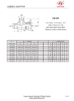 BSP-manlig BSP-O-ring för svängbar kon